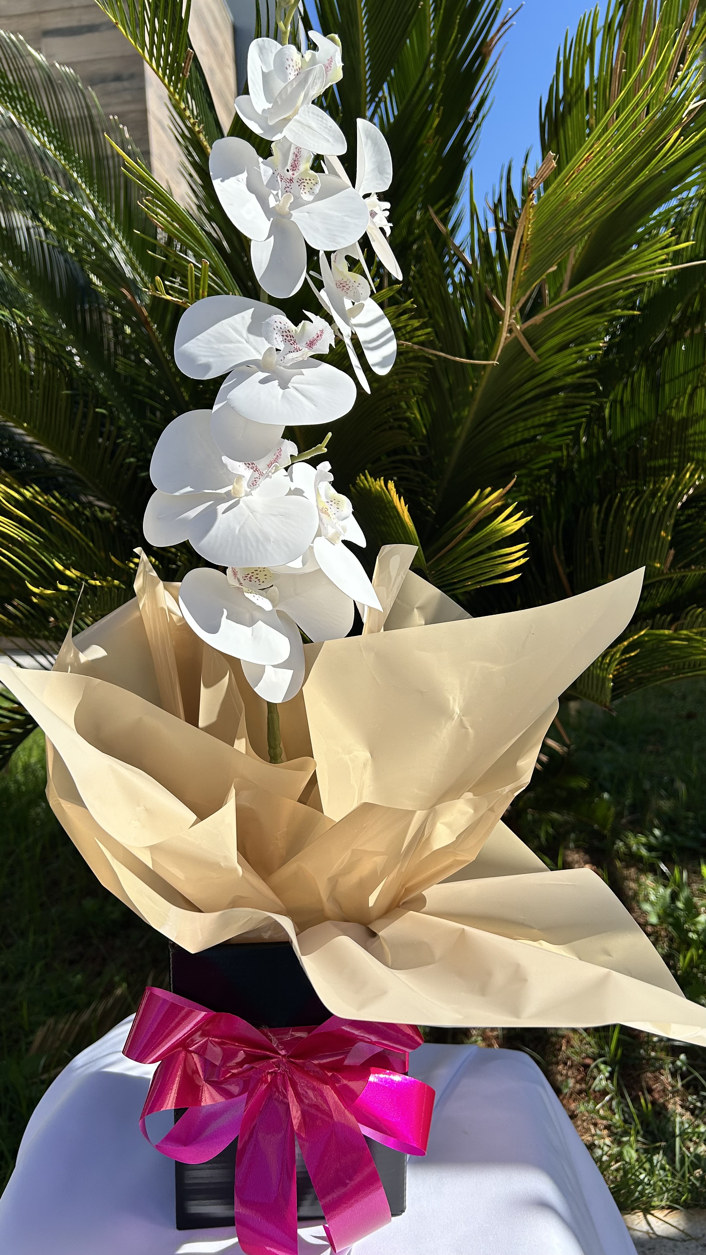 Flor orquídea dia das mães
